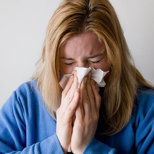 Vue interieure de la Pharmacie Levesque